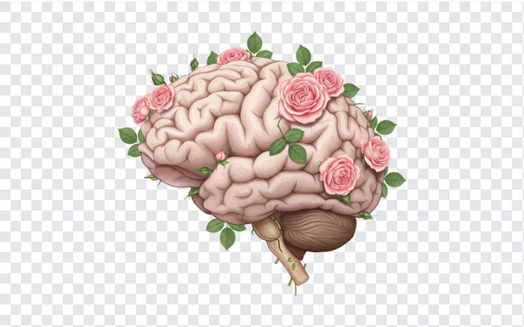 Mental Heath Awareness Brain with Flowers, Brain PNG, Brain with Flowers PNG, Mental Heath Awareness Brain with Flowers PNG, Mental Heath Awareness, PNG, PNG Images, Transparent Files, png free, png file, Free PNG, png download,