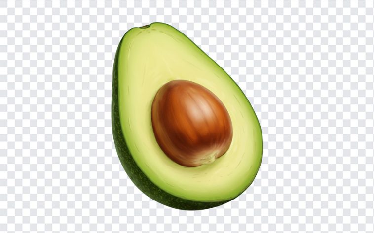 Avocado Half, Avocado, Avocado Half PNG, Fruits, Transpareent Fruits, PNG, PNG Images, Transparent Files, png free, png file, Free PNG, png download,