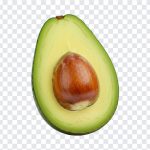 Avocado Half Transparent, Avocado Half, Avocado Half Transparent PNG, Avocado, Fruits, Avocado PNG, PNG, PNG Images, Transparent Files, png free, png file, Free PNG, png download,