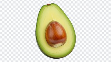 Avocado Half Transparent, Avocado Half, Avocado Half Transparent PNG, Avocado, Fruits, Avocado PNG, PNG, PNG Images, Transparent Files, png free, png file, Free PNG, png download,