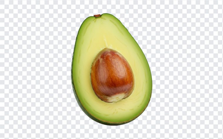Avocado Half Transparent, Avocado Half, Avocado Half Transparent PNG, Avocado, Fruits, Avocado PNG, PNG, PNG Images, Transparent Files, png free, png file, Free PNG, png download,