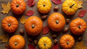 Top-down flatlay of assorted pumpkins, colorful autumn leaves, and acorns on a rustic wooden surface.