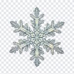 Snowflake, Ice, Snowflake PNG, Snow, December, Christmas, PNG, PNG Images, Transparent Files, png free, png file, Free PNG, png download,