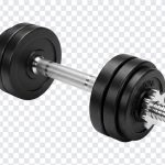 Gym Dumbbell, Gym, Gym Dumbbell PNG, Dumbbell PNG, PNG, PNG Images, Transparent Files, png free, png file, Free PNG, png download,