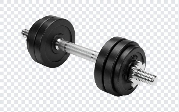 Gym Dumbbell, Gym, Gym Dumbbell PNG, Dumbbell PNG, PNG, PNG Images, Transparent Files, png free, png file, Free PNG, png download,