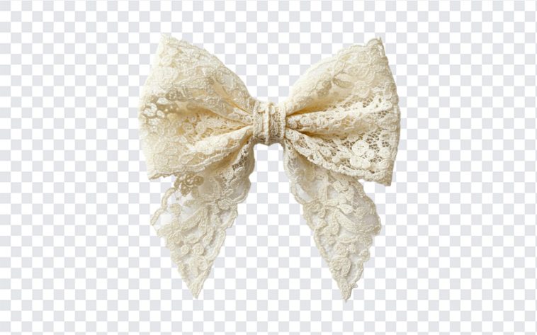 Lace Bow, Lace, Lace Bow PNG, Bow PNG, PNG, PNG Images, Transparent Files, png free, png file, Free PNG, png download,