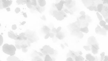 White Background, White, White Background Texture, Free stock photos, Stock photography websites, Stock photography sell, Free images, Getty images, Stock photos of people, Stock photo finder, Adobe Stock photos, Stock images free, Stock images downloader, Free images, Pixabay, Getty images, Adobe Stock images,