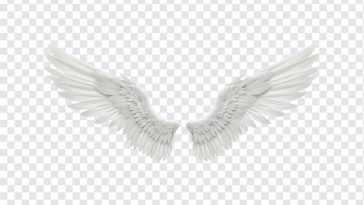 Angel Wings, Angel, Angel Wings PNG, Wings PNG, PNG, PNG Images, Transparent PNG Images, png free, png file, Free PNG, png download,