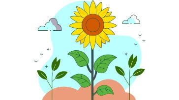 Sunflower Vector, Sunflower, Sunflower Vector Illustration, Sunflower Icon Vector, Glass Sunflower Vector, Vector, Vector Images, Transparent Vector Images, Vector Free, Vector File, Free Vector, Vector Download,