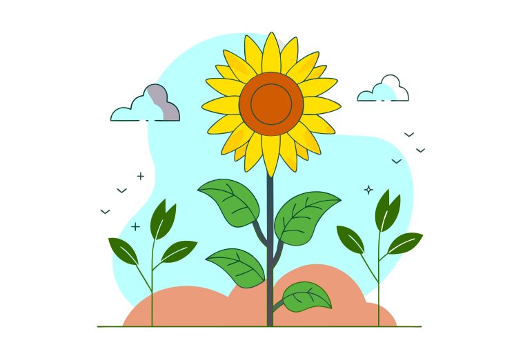 Sunflower Vector, Sunflower, Sunflower Vector Illustration, Sunflower Icon Vector, Glass Sunflower Vector, Vector, Vector Images, Transparent Vector Images, Vector Free, Vector File, Free Vector, Vector Download,