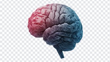 AI Artificial Intelligence Brain, Brain PNG, AI Brain, AI Artificial Intelligence, AI Artificial Intelligence Brain PNG, AI Artificial, PNG, PNG Images, Transparent PNG Images, png free, png file, Free PNG, png download,