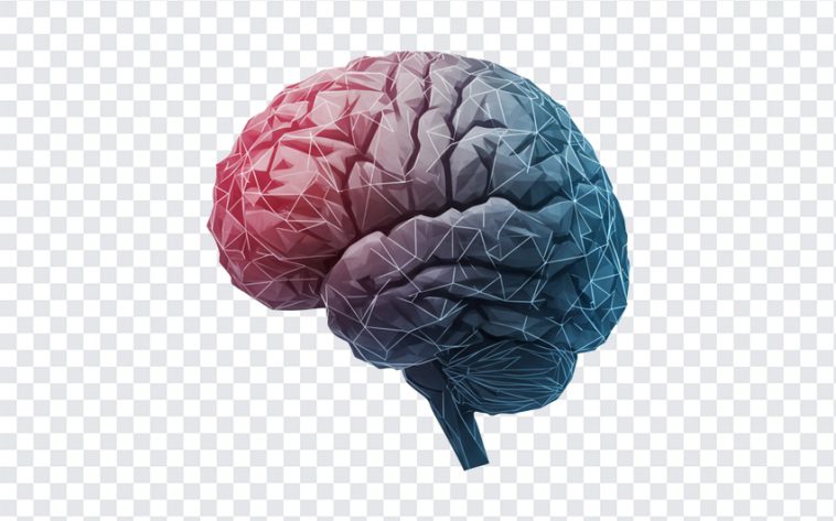 AI Artificial Intelligence Brain, Brain PNG, AI Brain, AI Artificial Intelligence, AI Artificial Intelligence Brain PNG, AI Artificial, PNG, PNG Images, Transparent PNG Images, png free, png file, Free PNG, png download,