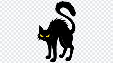 Black cat silhouette with a spooky Halloween theme on a transparent background