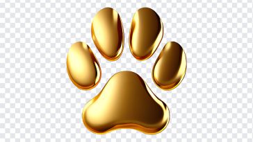 Gold paw print icon on a sleek surface isolated on transparent background