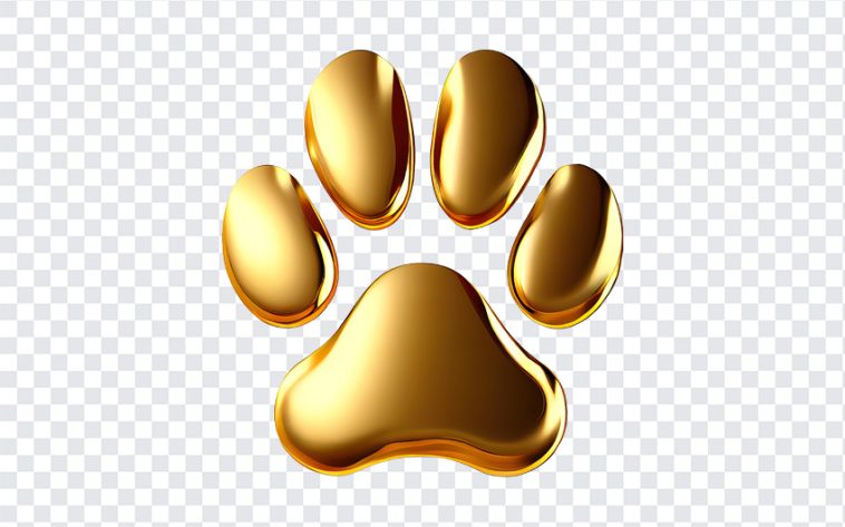 Gold paw print icon on a sleek surface isolated on transparent background