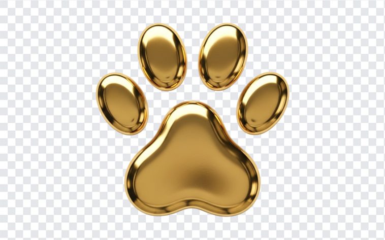 Golden dog paw print icon on a white background, perfect for pet-related designs