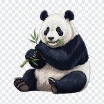 Panda Eating Bamboo Cute, Panda, Animals, Cute Panda, Panda Eating Bamboo, Panda Eating Bamboo Cute PNG, Panda Eating, PNG, PNG Images, Transparent PNG Images, png free, png file, Free PNG, png download,