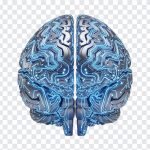 AI Brain Circuit, Circuit PNG, Brain Circuit PNG, AI Brain, AI Brain Circuit PNG, AI, PNG, PNG Images, Transparent PNG Images, png free, png file, Free PNG, png download,