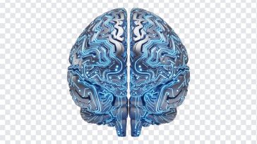 AI Brain Circuit, Circuit PNG, Brain Circuit PNG, AI Brain, AI Brain Circuit PNG, AI, PNG, PNG Images, Transparent PNG Images, png free, png file, Free PNG, png download,