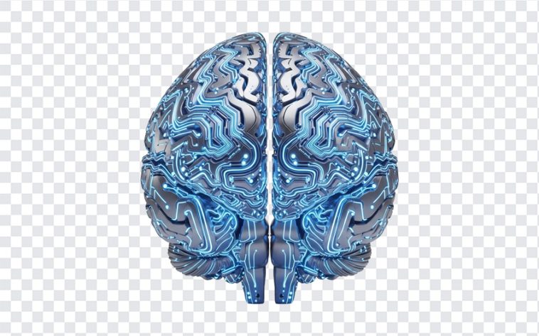 AI Brain Circuit, Circuit PNG, Brain Circuit PNG, AI Brain, AI Brain Circuit PNG, AI, PNG, PNG Images, Transparent PNG Images, png free, png file, Free PNG, png download,