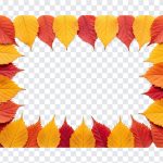 Autumn Leaves Frame, Autumn Leaves, Autumn Leaves Frame PNG, Leaves Frame PNG, Falls Leaves, Autumn, PNG, PNG Images, Transparent PNG Images, png free, png file, Free PNG, png download,