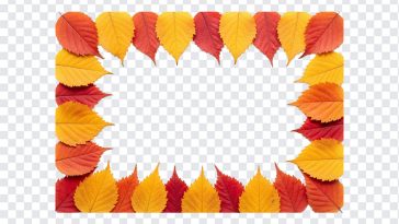 Autumn Leaves Frame, Autumn Leaves, Autumn Leaves Frame PNG, Leaves Frame PNG, Falls Leaves, Autumn, PNG, PNG Images, Transparent PNG Images, png free, png file, Free PNG, png download,