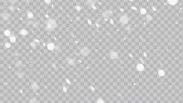 Snow Falling, Snow, Snow Falling PNG, December Snow, Snow PNG, PNG, PNG Images, Transparent PNG Images, png free, png file, Free PNG, png download,