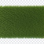 Fresh Grass Patch, Grass, Transparent Grass, Grass Patch PNG, Fresh Grass, Fresh Grass Patch PNG, Fresh, PNG, PNG Images, Transparent PNG Images, png free, png file, Free PNG, png download,