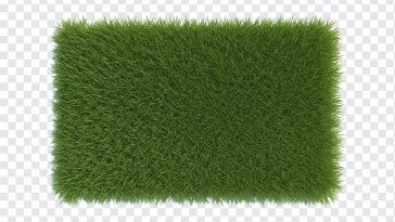 Fresh Grass Patch, Grass, Transparent Grass, Grass Patch PNG, Fresh Grass, Fresh Grass Patch PNG, Fresh, PNG, PNG Images, Transparent PNG Images, png free, png file, Free PNG, png download,
