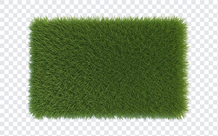 Fresh Grass Patch, Grass, Transparent Grass, Grass Patch PNG, Fresh Grass, Fresh Grass Patch PNG, Fresh, PNG, PNG Images, Transparent PNG Images, png free, png file, Free PNG, png download,