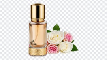 Luxury Perfume Gift, Perfume, Gift PNG, Perfume Gift PNG, Luxury Perfume, Luxury Perfume Gift PNG, Luxury, PNG, PNG Images, Transparent PNG Images, png free, png file, Free PNG, png download,