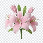 Pipe Cleaner Pink Lily Flower Bouquet, Lily Flower, Pipe Cleaner Pink Lily Flower, Lily Flower Bouquet PNG, Pipe Cleaner Pink Lily Flower Bouquet PNG, Pipe Cleaner Pink Lily, PNG, PNG Images, Transparent PNG Images, png free, png file, Free PNG, png download,