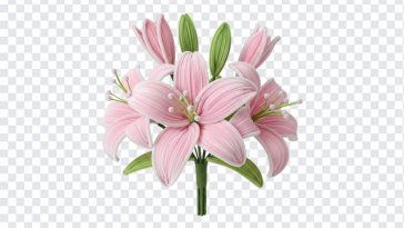Pipe Cleaner Pink Lily Flower Bouquet, Lily Flower, Pipe Cleaner Pink Lily Flower, Lily Flower Bouquet PNG, Pipe Cleaner Pink Lily Flower Bouquet PNG, Pipe Cleaner Pink Lily, PNG, PNG Images, Transparent PNG Images, png free, png file, Free PNG, png download,