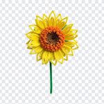 Pipe Cleaner Sun Flower, Pipe Cleaner Sun, Flower PNG, Sun Flower PNG, Pipe Cleaner Sun Flower PNG, Pipe Cleaner, PNG, PNG Images, Transparent PNG Images, png free, png file, Free PNG, png download,