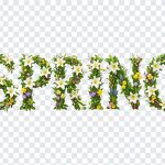 Spring Text with Leaves Flowers, Spring Text with Leaves, Spring Text with Leaves Flowers PNG, Spring Text, Typography, PNG, PNG Images, Transparent PNG Images, png free, png file, Free PNG, png download,