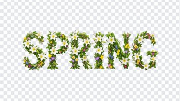 Spring Text with Leaves Flowers, Spring Text with Leaves, Spring Text with Leaves Flowers PNG, Spring Text, Typography, PNG, PNG Images, Transparent PNG Images, png free, png file, Free PNG, png download,