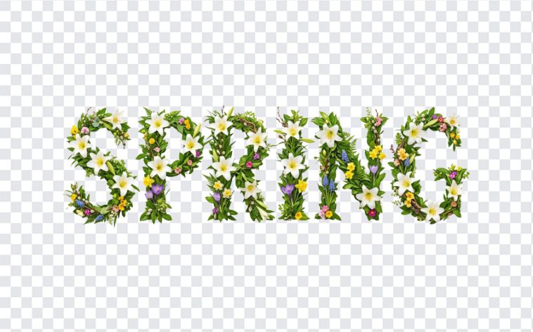 Spring Text with Leaves Flowers, Spring Text with Leaves, Spring Text with Leaves Flowers PNG, Spring Text, Typography, PNG, PNG Images, Transparent PNG Images, png free, png file, Free PNG, png download,