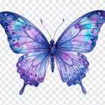 Watercolor Butterfly, Colorful Butterfly Watercolor, Colorful Butterfly Watercolor Clipart PNG, Colorful Butterfly, Watercolor Clipart PNG, Clipart PNG, PNG, PNG Images, Transparent PNG Images, png free, png file, Free PNG, png download,