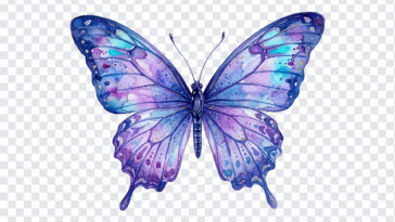 Watercolor Butterfly, Colorful Butterfly Watercolor, Colorful Butterfly Watercolor Clipart PNG, Colorful Butterfly, Watercolor Clipart PNG, Clipart PNG, PNG, PNG Images, Transparent PNG Images, png free, png file, Free PNG, png download,