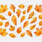 Golden Autumn Fall Leaves, Autumn Leaves PNG, Golden Autumn Fall Leaves PNG, Golden Autumn, Fall Leaves PNG, PNG, PNG Images, Transparent PNG Images, png free, png file, Free PNG, png download,