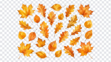 Golden Autumn Fall Leaves, Autumn Leaves PNG, Golden Autumn Fall Leaves PNG, Golden Autumn, Fall Leaves PNG, PNG, PNG Images, Transparent PNG Images, png free, png file, Free PNG, png download,