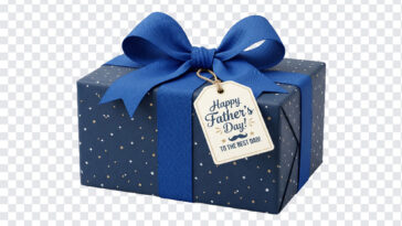 Gift Box PNG, Father's Day Gift PNG, Present PNG Transparent, Gift Clipart Free, Blue Ribbon Gift PNG, Father's Day Present, Gift Box Transparent Background, Free Gift PNG, Holiday Gift Clipart, Wrapped Gift PNG