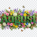 3D Floral August Month Text, 3D Floral August Month, August Month Text PNG, 3D Floral, PNG, PNG Images, Transparent PNG Images, png free, png file, Free PNG, png download,