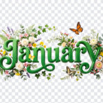 3D floral January month text with flowers and butterflies, transparent background PNG.