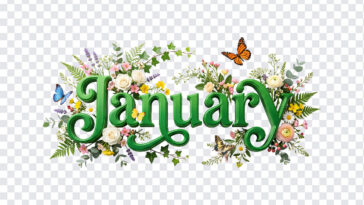 3D floral January month text with flowers and butterflies, transparent background PNG.