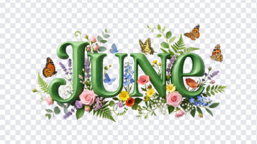 3D Floral June Month Text, June Month, June Month Text PNG, 3D Floral June Month Text PNG, Floral June, PNG, PNG Images, Transparent PNG Images, png free, png file, Free PNG, png download,