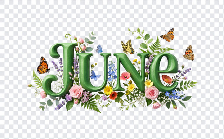 3D Floral June Month Text, June Month, June Month Text PNG, 3D Floral June Month Text PNG, Floral June, PNG, PNG Images, Transparent PNG Images, png free, png file, Free PNG, png download,