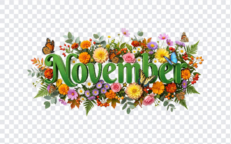 3D Floral November Month Text PNG with vibrant flowers and butterflies, perfect for seasonal designs, transparent background PNG.