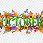 3D Floral October Month Text PNG with vibrant flowers and butterflies, perfect for seasonal designs, transparent background PNG.