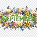 3D Floral September Month Text PNG with vibrant flowers and butterflies, perfect for seasonal designs, transparent background PNG.